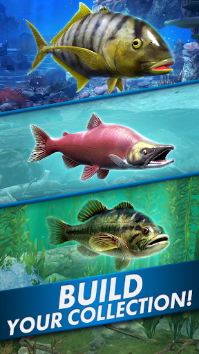 Go Fishing! Fish Game screen 6